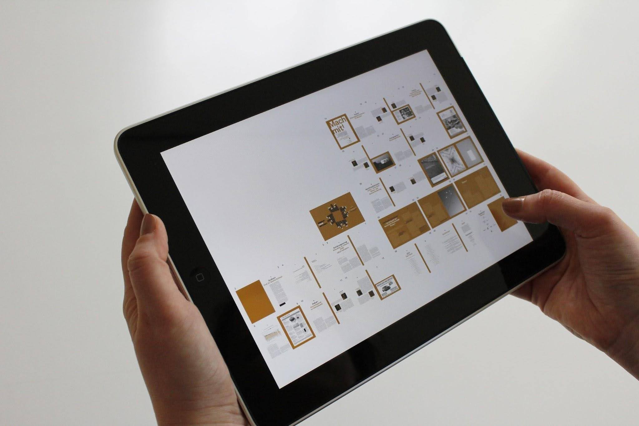 Balancing Centralized Standards with Local Product Needs